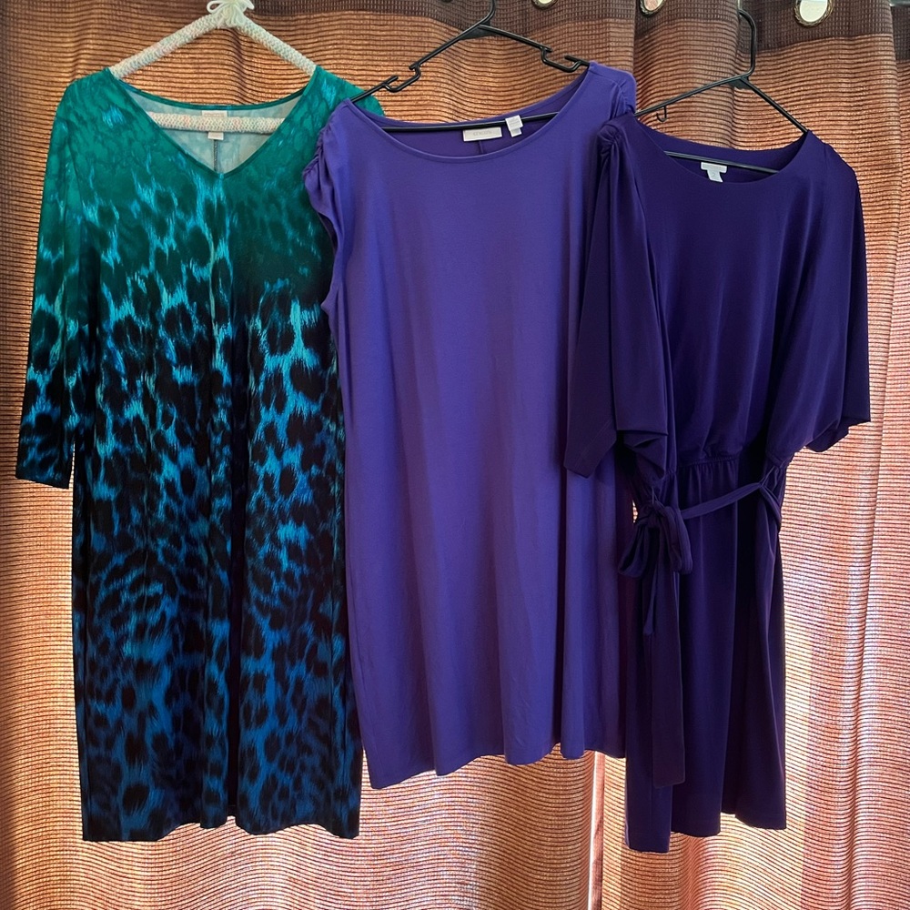 Chicos dresses excellent condition decluttering. The green and blue is SOLD
